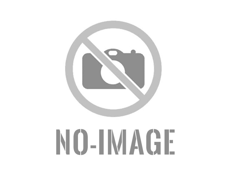 II miejsce drużynowo dla Agnia Łysiuk i Lili Janickiej.